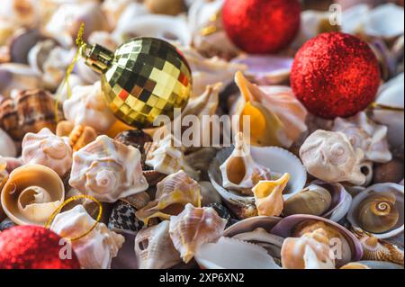 Nahaufnahme von Muscheln am Strand Stockfoto