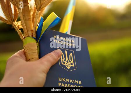 Nahaufnahme einer weiblichen Hand mit einem ukrainischen Pass, mit einem gebundenen Bündel von Weizenspitzen und der ukrainischen Flagge, die gegen eine grüne Natur gesetzt ist Stockfoto