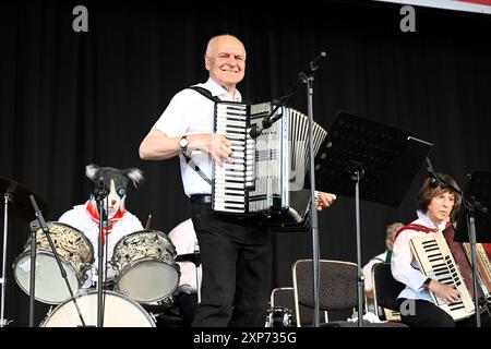 Köln, Deutschland. August 2024. Das Akkordeonorchester der Zöllner Musikschule unterhält das Publikum im Tanzbrunnen im Rheinpark während des 21. Kölner Musikfestivals. Quelle: Roberto Pfeil/dpa/Alamy Live News Stockfoto