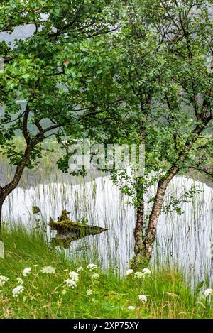 Ein Ausflug in das malerische Fjordland rund um Bergen in Westnorwegen Stockfoto