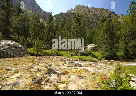 Der Fluss Riu de Monestero im Nationalpark Aigüestortes i Estany de Sant Maurici, Katalonien, Spanien, Europa | Riu de Monestero in Aigüestorte Stockfoto