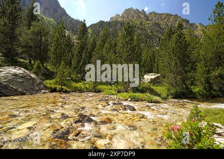 Riu de Monestero der Fluss Riu de Monestero im Nationalpark Aigüestortes i Estany de Sant Maurici, Katalonien, Spanien, Europa Riu de Monestero Stockfoto