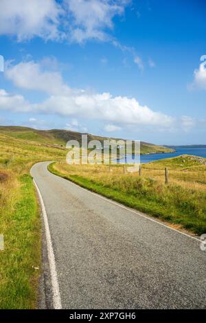 Nistplatz einer Siedlung an der Ostseite der Shetland-Inseln. Stockfoto