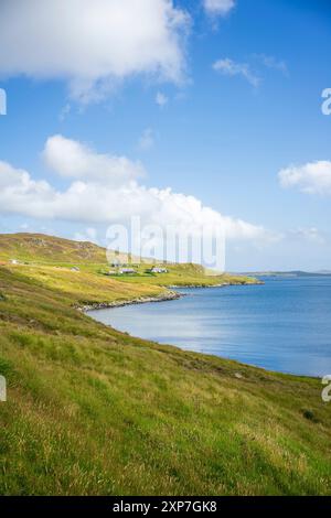 Nistplatz einer Siedlung an der Ostseite der Shetland-Inseln. Stockfoto