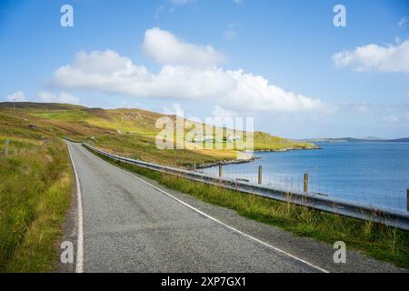 Nistplatz einer Siedlung an der Ostseite der Shetland-Inseln. Stockfoto