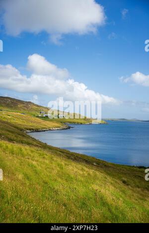 Nistplatz einer Siedlung an der Ostseite der Shetland-Inseln. Stockfoto