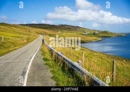 Nistplatz einer Siedlung an der Ostseite der Shetland-Inseln. Stockfoto