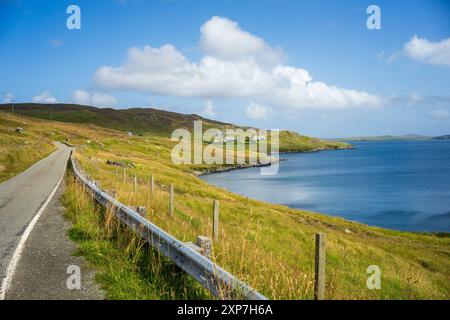 Nistplatz einer Siedlung an der Ostseite der Shetland-Inseln. Stockfoto