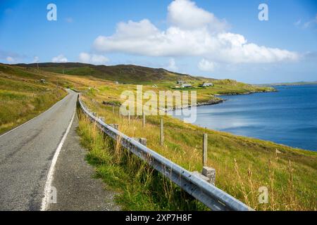 Nistplatz einer Siedlung an der Ostseite der Shetland-Inseln. Stockfoto