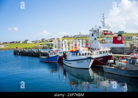 Whalsay ist die sechstgrößte der Shetlandinseln im Norden Schottlands. Bekannt als „The bonnie isle“ mit großer pelagischer Fischereiflotte Stockfoto