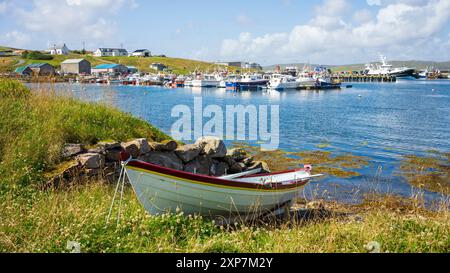 Whalsay ist die sechstgrößte der Shetlandinseln im Norden Schottlands. Bekannt als „The bonnie isle“ mit großer pelagischer Fischereiflotte Stockfoto