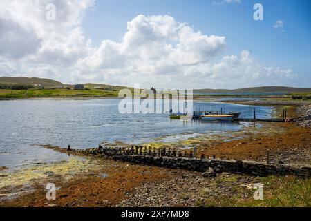 Whalsay ist die sechstgrößte der Shetlandinseln im Norden Schottlands. Bekannt als „The bonnie isle“ mit großer pelagischer Fischereiflotte Stockfoto