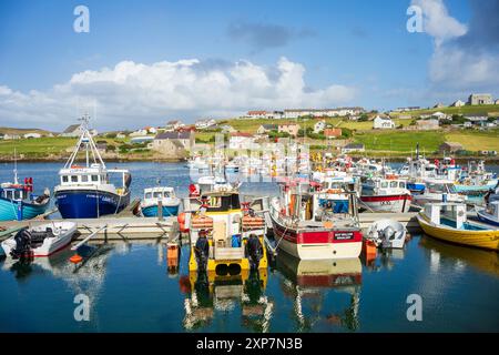 Whalsay ist die sechstgrößte der Shetlandinseln im Norden Schottlands. Bekannt als „The bonnie isle“ mit großer pelagischer Fischereiflotte Stockfoto