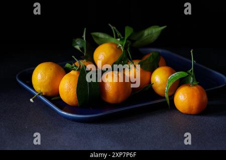 Saftige Mandarinen mit leuchtenden Blättern auf einer blauen Keramikplatte vor dunklem Hintergrund. Stockfoto