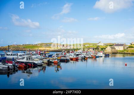 Whalsay ist die sechstgrößte der Shetlandinseln im Norden Schottlands. Bekannt als „The bonnie isle“ mit großer pelagischer Fischereiflotte Stockfoto