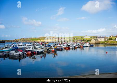 Whalsay ist die sechstgrößte der Shetlandinseln im Norden Schottlands. Bekannt als „The bonnie isle“ mit großer pelagischer Fischereiflotte Stockfoto