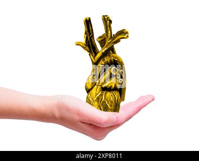 Detailliertes anatomisches Herzmodell in der Hand, mit kompliziertem Design und goldenem Finish, perfekt für pädagogische oder künstlerische Zwecke. Stockfoto