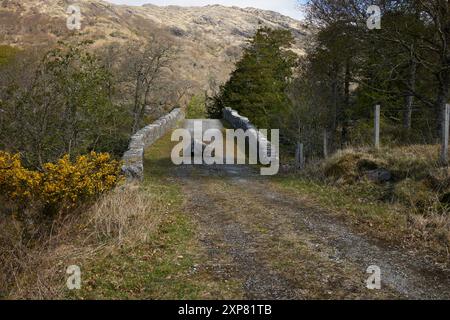 Diese einbogige Buckelbrücke über den Fluss Moidart bei Ardmolich wurde nach Thomas Telford gebaut und ist stillgelegt. Kinlochmoidart, Schottland Stockfoto