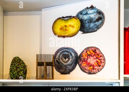 Ein Poster im Heidelbeerhaus zeigt den Unterschied zwischen wilden und kultivierten Heidelbeeren, Enzklösterle, Baden-Württemberg Stockfoto