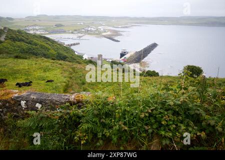 Blick hinunter über die alte Steinmauer in Richtung Church Bay am regnerischen Tag rathlin Island, County antrim, Nordirland, großbritannien Stockfoto