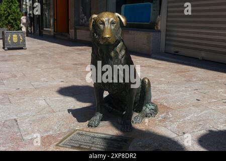 Oviedo, Spanien, 4. August 2024: Die Statue von Rufo, dem Hund von Oviedo im täglichen Leben in Oviedo, am 4. August 2024 in Oviedo, Spanien. Quelle: Alberto Brevers / Alamy Live News. Stockfoto