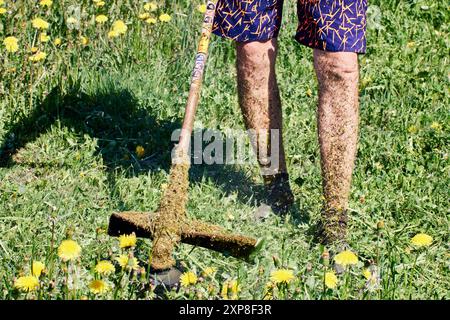 Mann in Shorts entfernt Löwenzahn mit Unkrautschneider, seine Beine mit zerquetschtem Gras bedeckt. Stockfoto