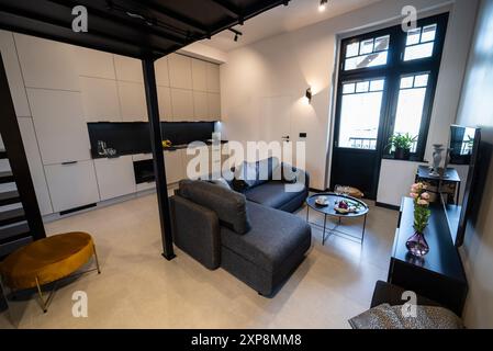 Modernes Studio-Apartment mit Zwischengeschoss-Schlafzimmer. Stilvolle Küche, die nahtlos mit einem gemütlichen Wohnzimmer verbunden ist, ideal für kleine Wohnräume. Klein und Mo Stockfoto