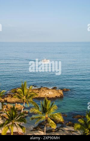 Palmen säumen die felsige Pazifikküste der Banderas Bay in der luxuriösen Hotelzone Playa Conchas Chinas an der spektakulären Südküste von Puerto Vallarta Stockfoto