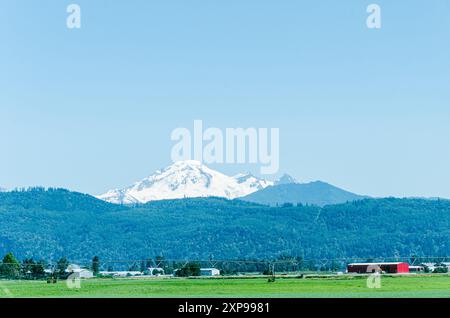 Landwirtschaftsbetriebe in Mission, Fraser Valley, British Columbia, Kanada. MT Baker ist im Hintergrund zu sehen Stockfoto