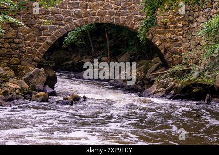 Brücke über den Waterfall River Stockfoto