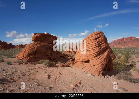 Sandsteinformationen aus Bienensteinen, Beispiele für Winderosion, im Valley of Fire State Park, Nevada, USA Stockfoto