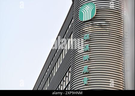 Taiwan - 03. August 2024: Die Jiaoxi Agricultural Association in Yilan bietet Landwirten technische Beratung und Marketingunterstützung. Stockfoto