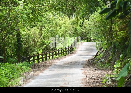 Capture Green Urban Trails werden zu einer Top-Wahl für Stadtbewohner, die Freizeit und Bewegung suchen, und bieten eine natürliche Zuflucht und gesundheitliche Vorteile. Stockfoto