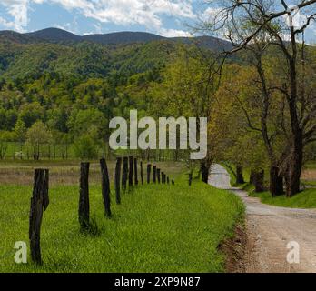 Frühlingsgrün und Bäume in Cades Cove im Great Smoky Mountains National Park Stockfoto