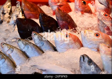 Erleben Sie die lebhafte Atmosphäre eines traditionellen Fischmarktes, auf dem frisch gefangener Fisch von Booten angeboten wird. Stockfoto
