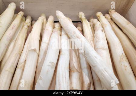 Nahaufnahme eines Stapels weißen Spargels auf einem Marktstand. Stockfoto