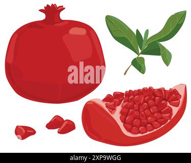 Reife Granatapfelfrucht mit Blättern Vektor-Illustration. Isolierter weißer Hintergrund. Roter Granatapfel im flachen Stil. Geschnittene Granate. Früchte des Südens. Stock Vektor