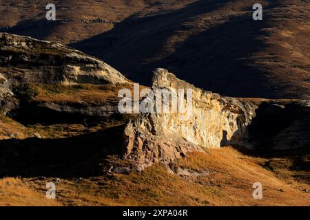 Sandsteinfelsen im frühen Morgenlicht, Golden Gate National Park, Südafrika Stockfoto