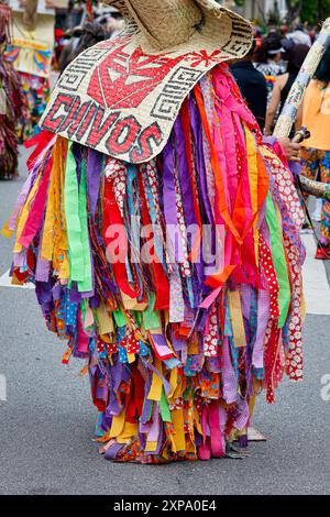 Während der jährlichen Karnevalsfeier begeben sich atemberaubende Künstler in extravagante Kostüme in den Mission District in San Francisco. Stockfoto