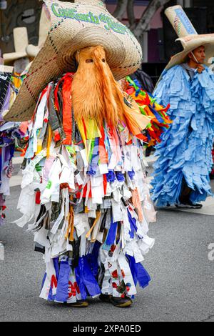 Während der jährlichen Karnevalsfeier begeben sich atemberaubende Künstler in extravagante Kostüme in den Mission District in San Francisco. Stockfoto