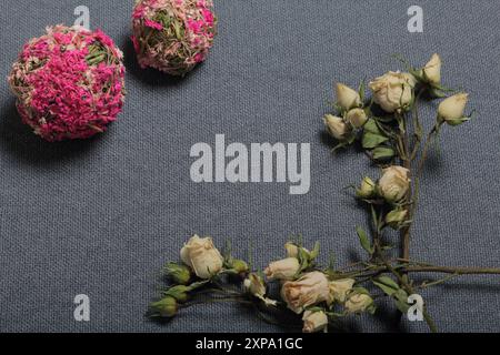 Getrocknete beige Rosen. Vor dem Hintergrund der grauen Textur des Gewebes. In der Nähe befinden sich zwei dekorative Kugeln aus getrocknetem Gras in verschiedenen Farben. Stockfoto