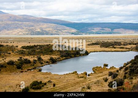 Acland Lagoon - Neuseeland Stockfoto