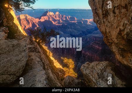 Blick auf den Sonnenuntergang vom Bright Angel Point Trail am Nordrand des Grand Canyon mit den sonnendurchfluteten Deva-, Brahma- und Zoroaster-Tempelformationen. (USA) Stockfoto