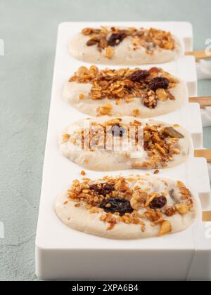 Hausgemachte griechische Joghurteisgelenke in Silikonformen Stockfoto