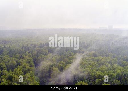 Nebelblick aus der Vogelperspektive auf dichten grünen Wald mit schwachen Stadtgebäuden in der Ferne. Stimmungsvolle Landschaft für Design und Druck Stockfoto