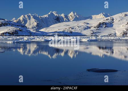 Eisberge in einem Fjord vor den Bergen, Winter, Sonne, Kulusuk, Ostgrönland, Grönland Stockfoto