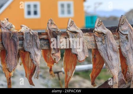 Trocknen von Fisch auf einem Regal vor einem Haus, Inuit-Siedlung, Uummannaq, Grönland Stockfoto