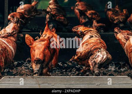 Ganze Schweine- und Lammspieße auf traditionellen Festtagen in Serbien geröstet, selektiver Fokus Stockfoto