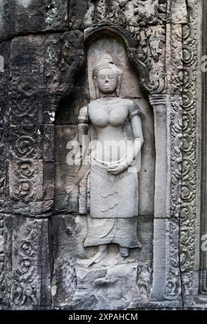 Himmelswesen Relief im Ta Prohm Tempel in Siem Reap, Kambodscha. Apsara weibliche Figur Skulptur an einer Wand des Tempels. Stockfoto