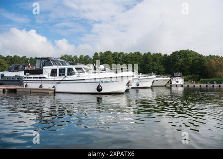 Boote, Schiffe, Yachten im Yachthafen Marina Eldenburg, am Reeckkanal zwischen Binnenmüritz und Kölpinsee, Mecklenburg-Vorpommern. Sommer, Yachtcharter, Bootsverleih Boote auf dem Wasser *** Boote, Schiffe, Yachten im Yachthafen Marina Eldenburg, am Reeckkanal zwischen Binnenmüritz und Kölpinsee, Mecklenburg-Vorpommern Sommer, Yachtcharter, Bootsverleih Boote auf dem Wasser 20240803-DSC 7460 Stockfoto